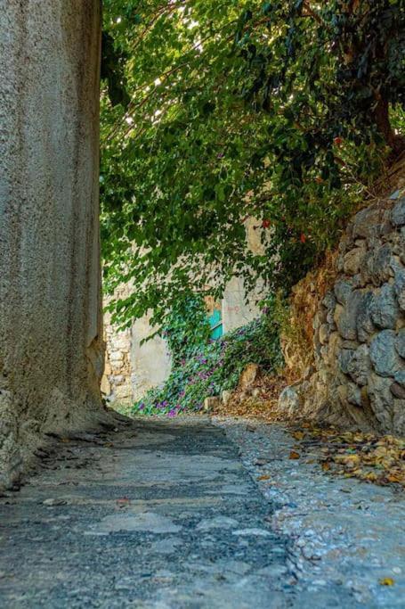 Maciliavilla. Ierápetra エクステリア 写真